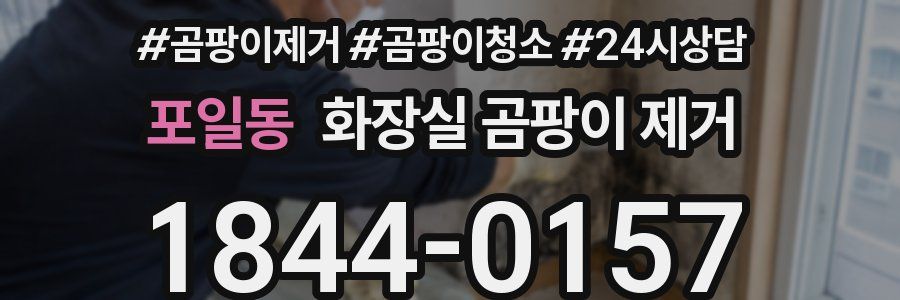 포일동 화장실 곰팡이 제거