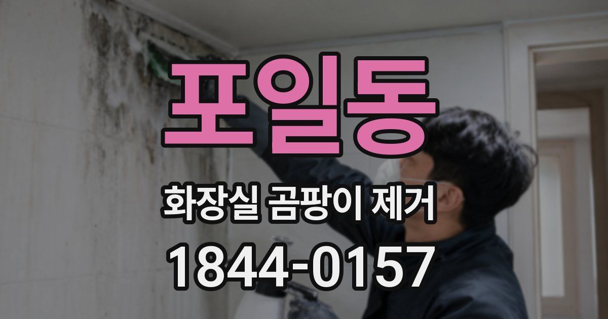 포일동 화장실 곰팡이 제거