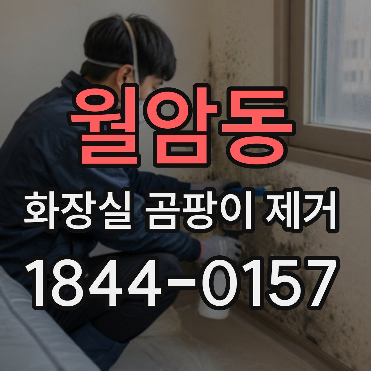 월암동 화장실 곰팡이 제거