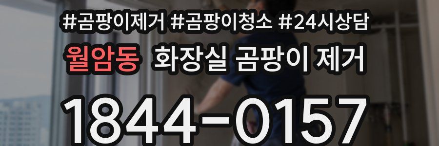 월암동 화장실 곰팡이 제거