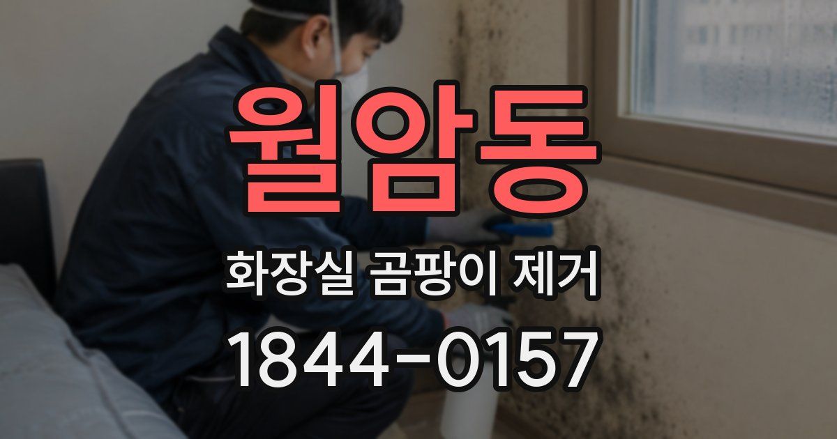 월암동 화장실 곰팡이 제거