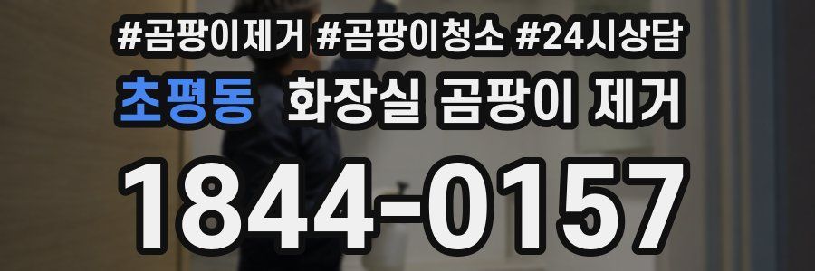 초평동 화장실 곰팡이 제거