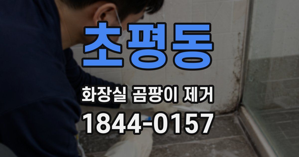 초평동 화장실 곰팡이 제거
