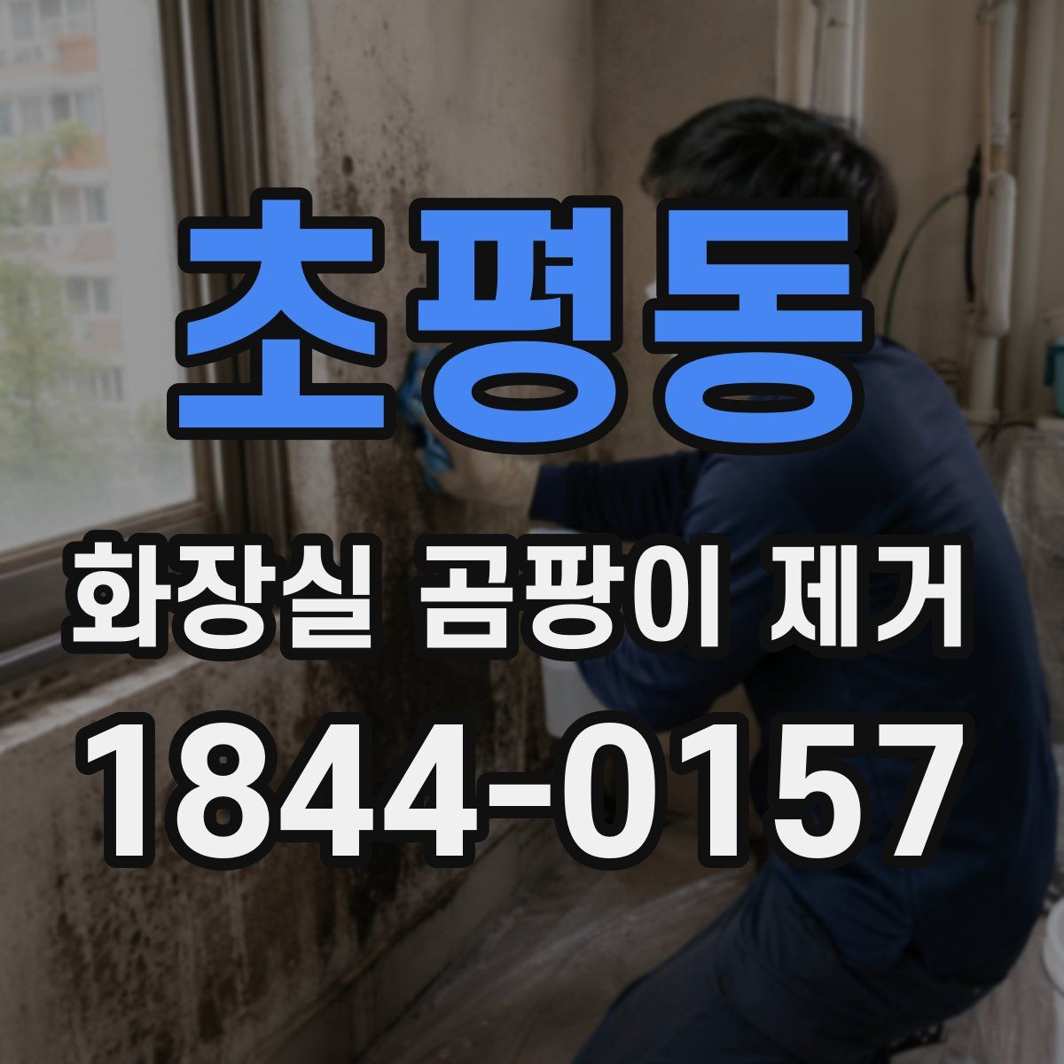 초평동 화장실 곰팡이 제거