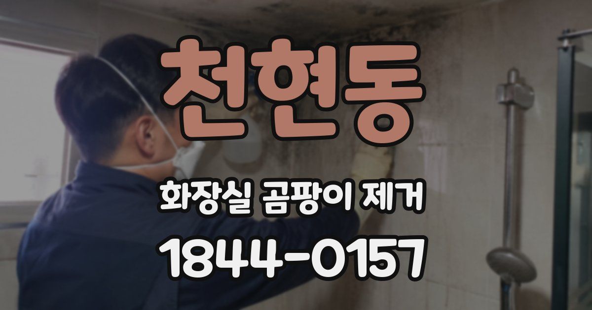 천현동 화장실 곰팡이 제거