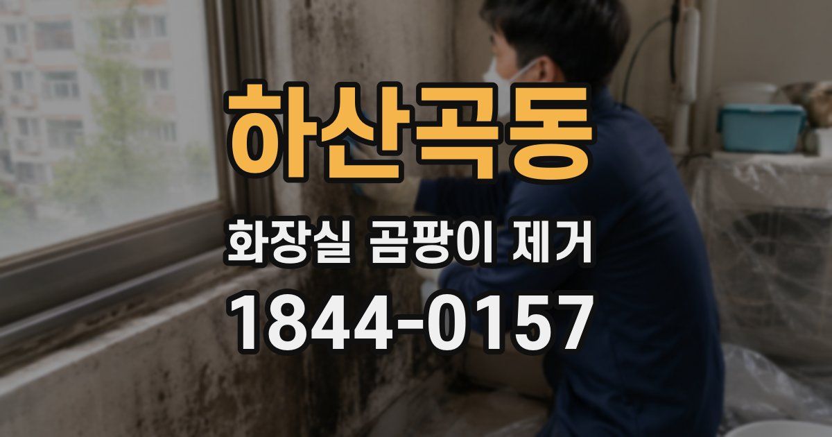 하산곡동 화장실 곰팡이 제거