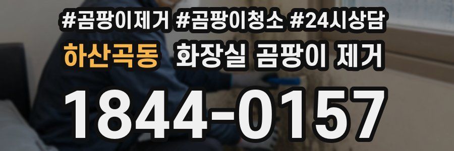 하산곡동 화장실 곰팡이 제거
