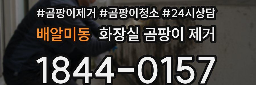 배알미동 화장실 곰팡이 제거