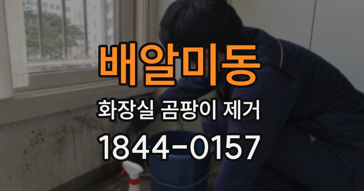 배알미동 화장실 곰팡이 제거