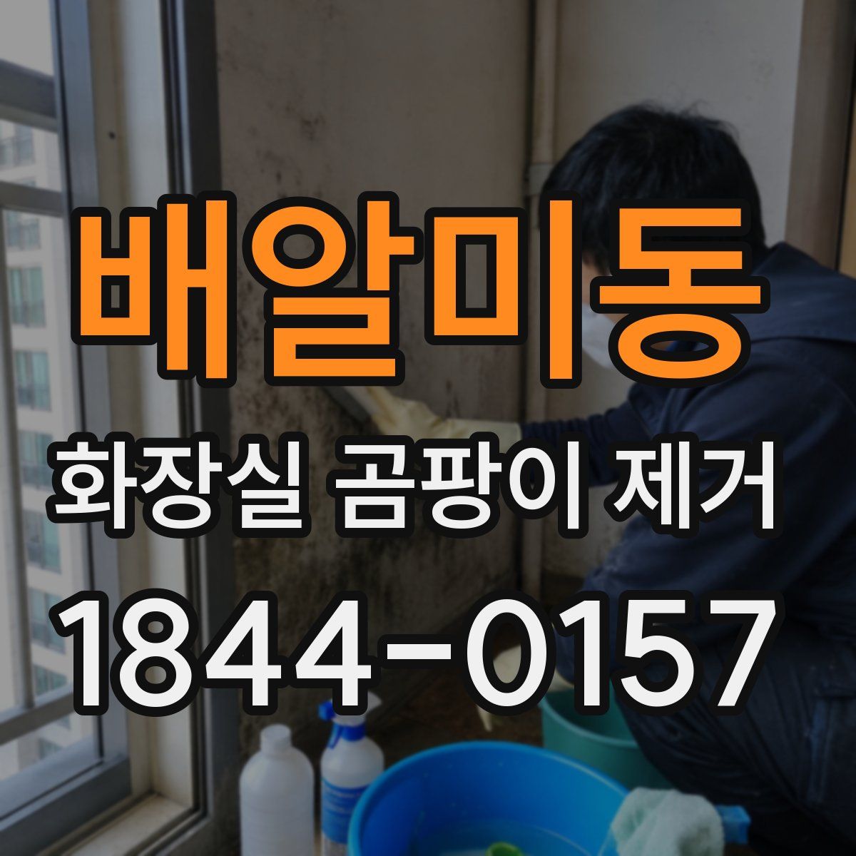 배알미동 화장실 곰팡이 제거