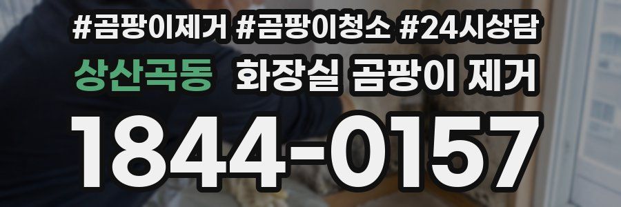상산곡동 화장실 곰팡이 제거