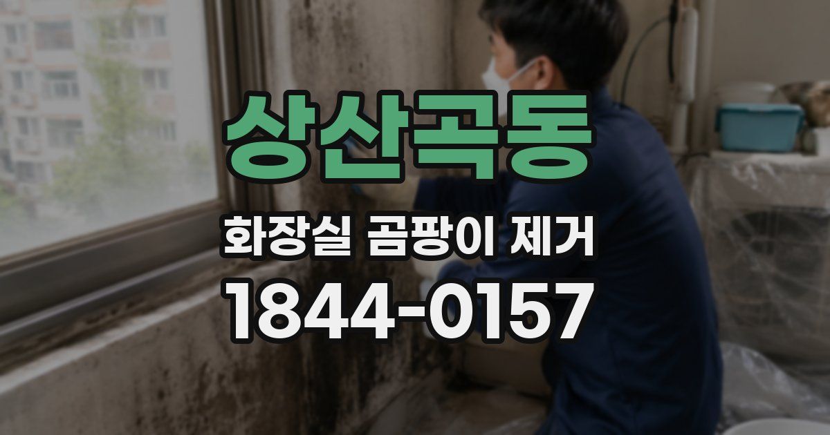 상산곡동 화장실 곰팡이 제거