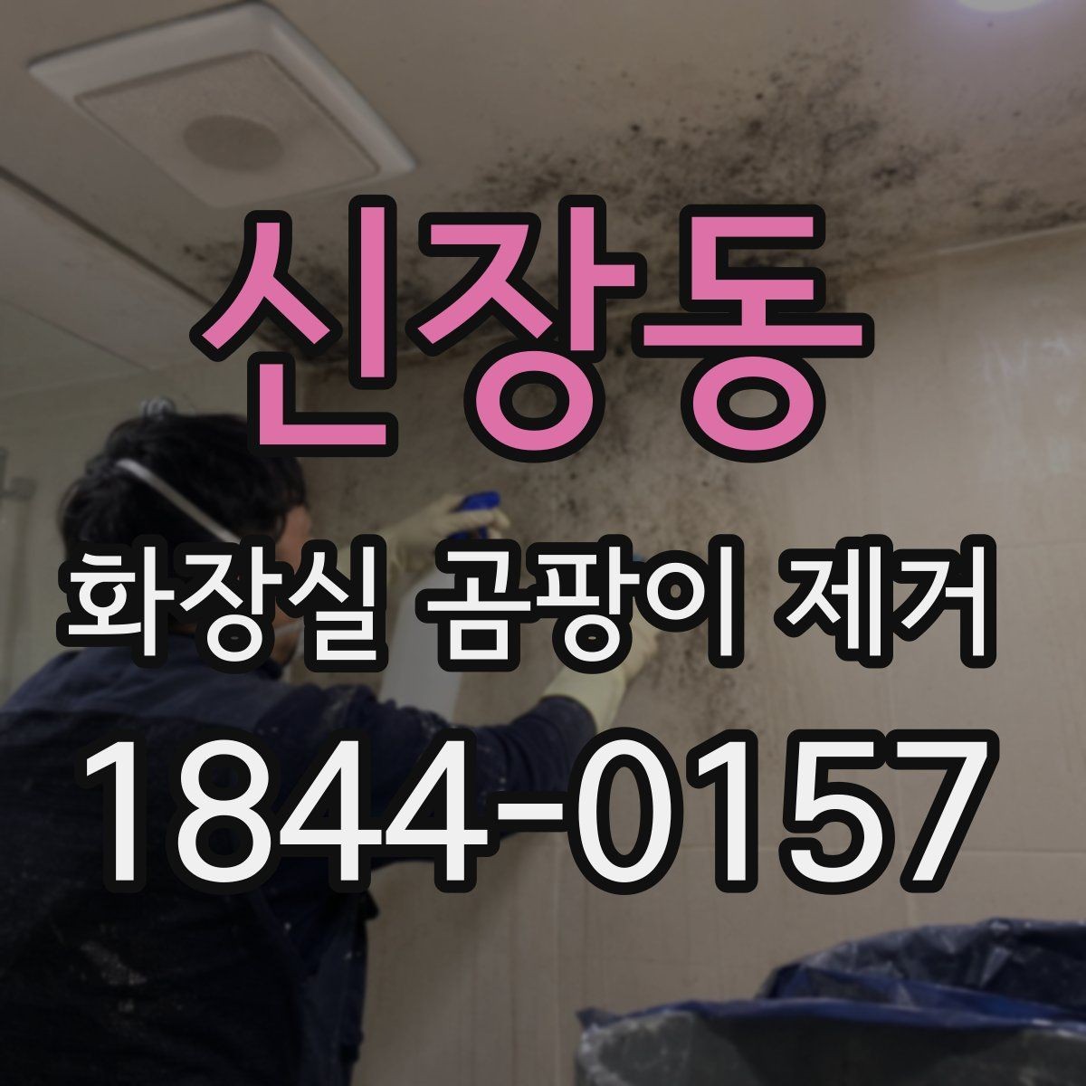 신장동 화장실 곰팡이 제거 셀프로 가능한 구간과 전문가가 필요한 구간