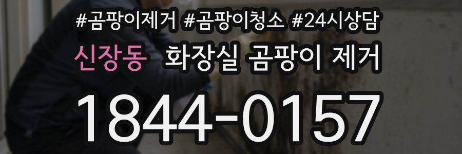 신장동 화장실 곰팡이 제거