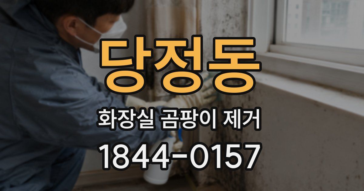 당정동 화장실 곰팡이 제거