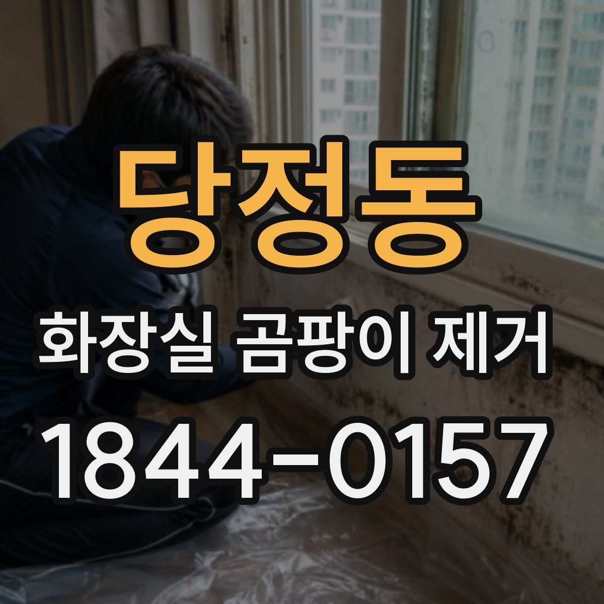 당정동 화장실 곰팡이 제거