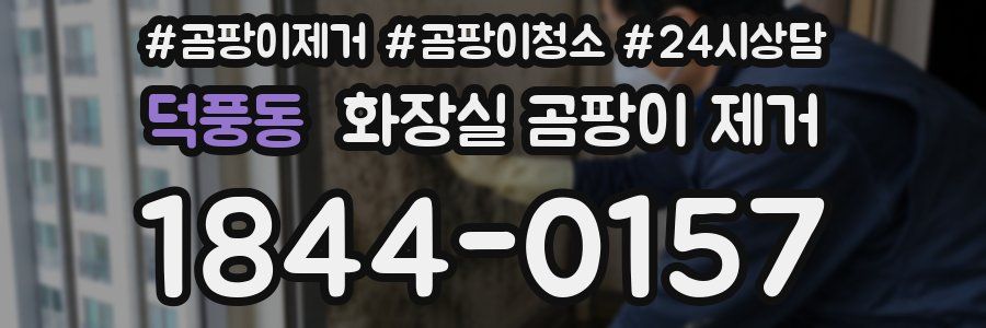 덕풍동 화장실 곰팡이 제거