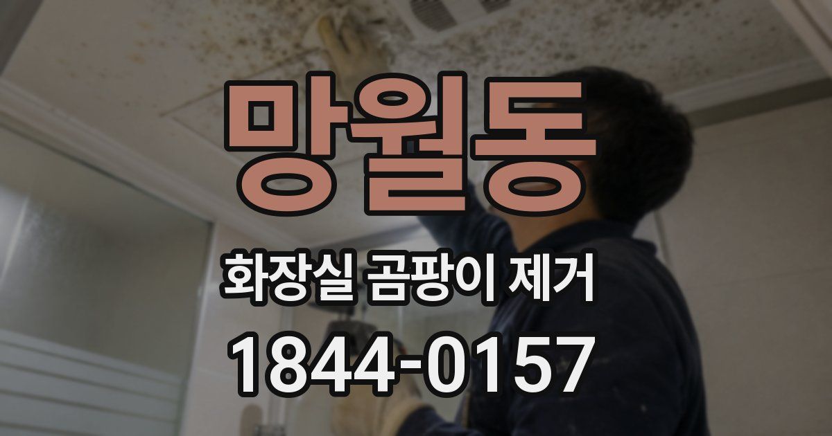 망월동 화장실 곰팡이 제거