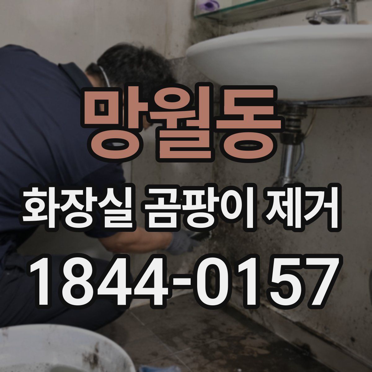 망월동 화장실 곰팡이 제거