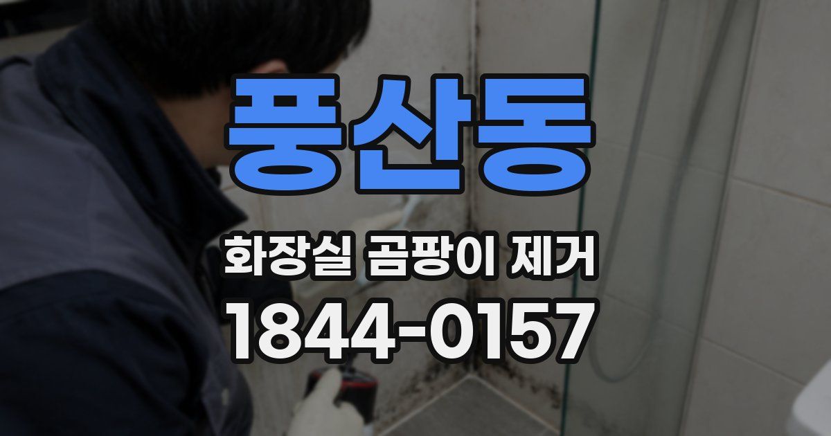 풍산동 화장실 곰팡이 제거