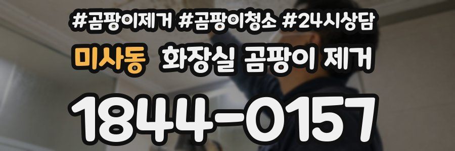 미사동 화장실 곰팡이 제거