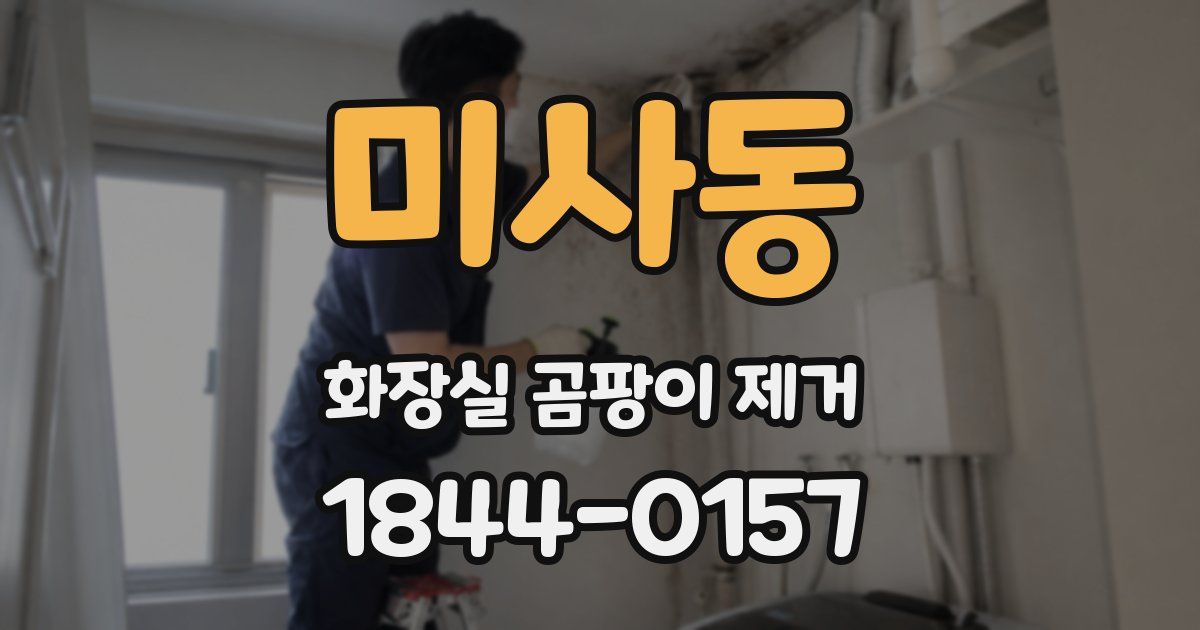 미사동 화장실 곰팡이 제거