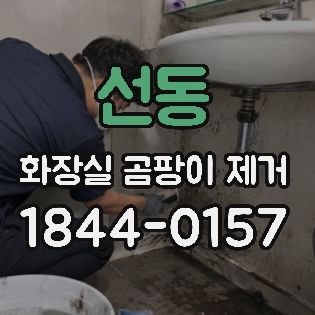 선동 화장실 곰팡이 제거