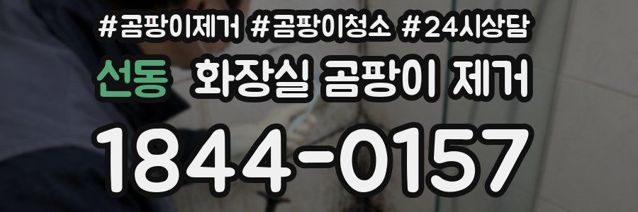 선동 화장실 곰팡이 제거