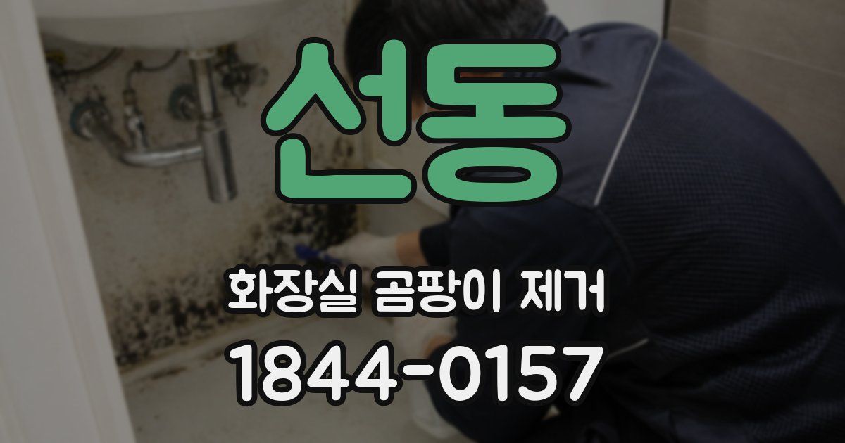 선동 화장실 곰팡이 제거