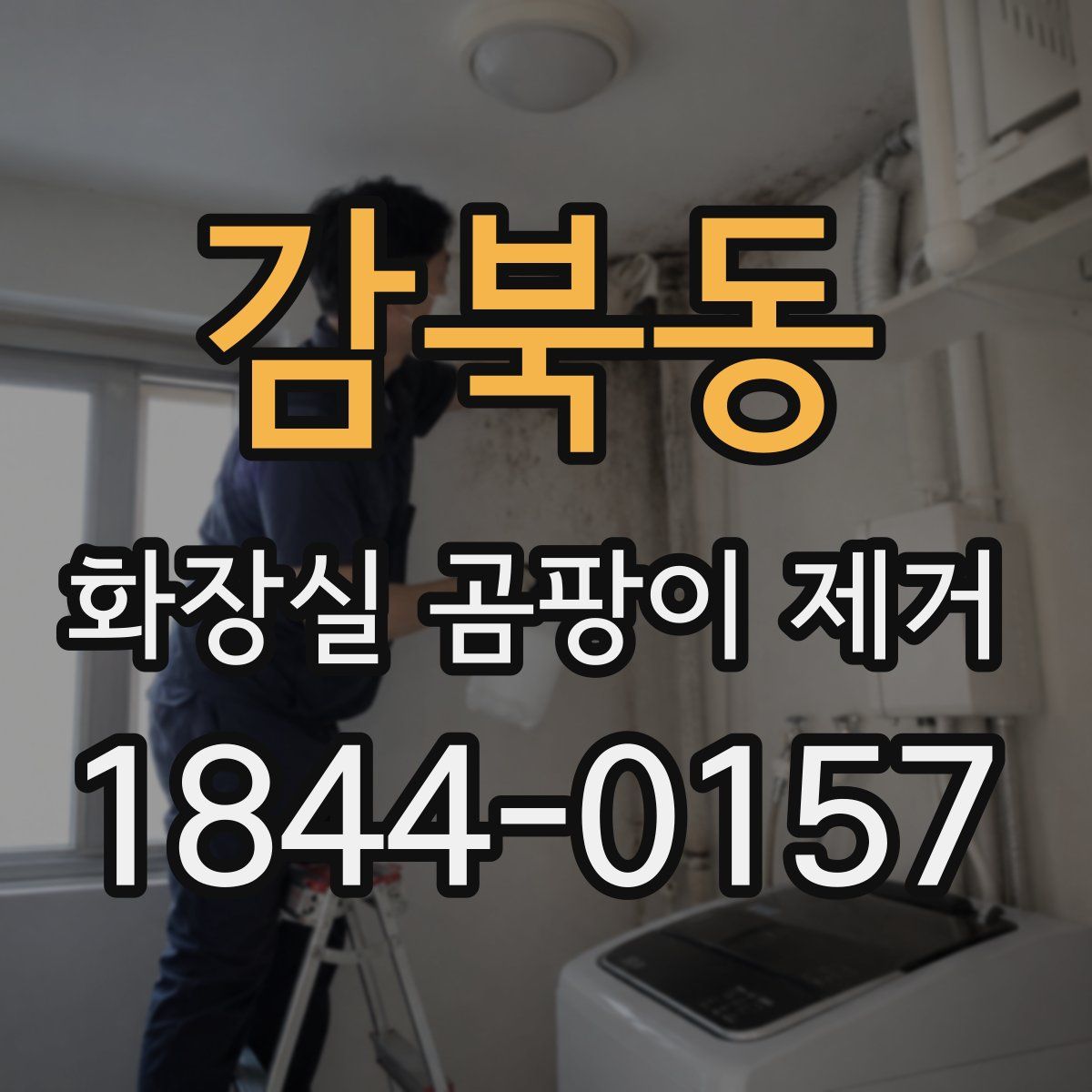 감북동 화장실 곰팡이 제거