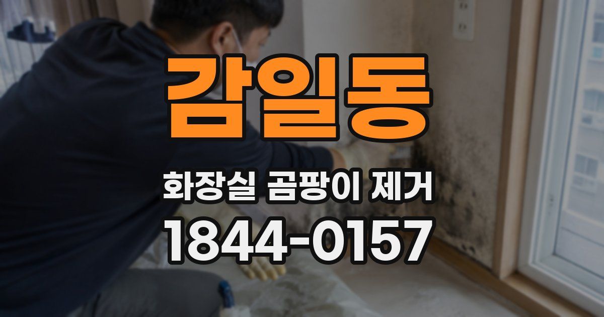 감일동 화장실 곰팡이 제거