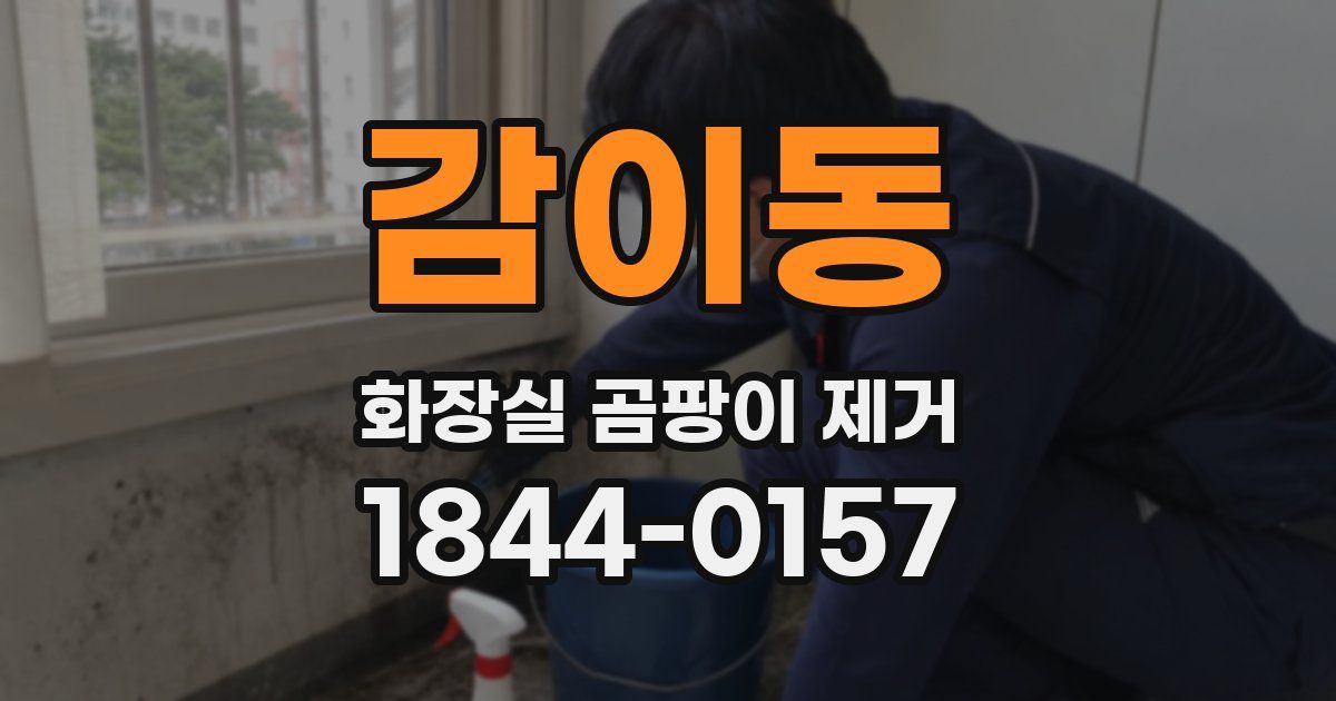 감이동 화장실 곰팡이 제거