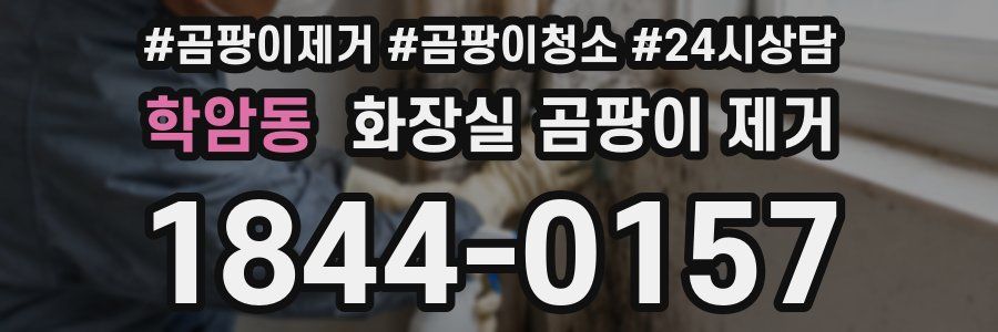 학암동 화장실 곰팡이 제거