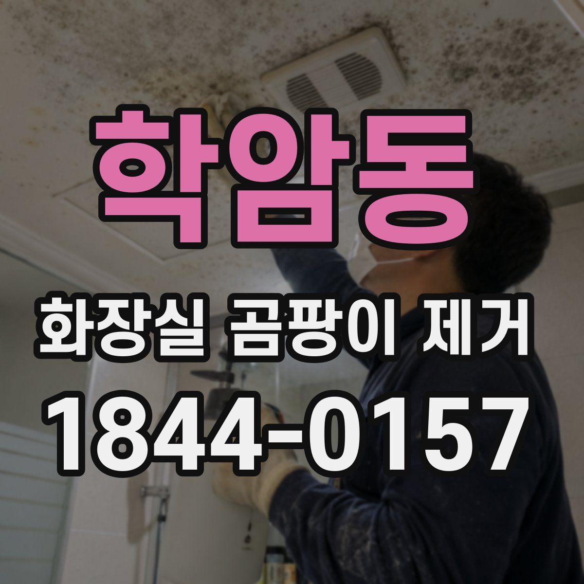 학암동 화장실 곰팡이 제거