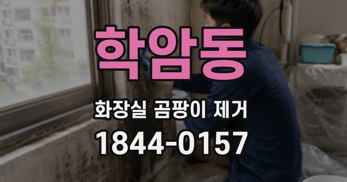 학암동 화장실 곰팡이 제거