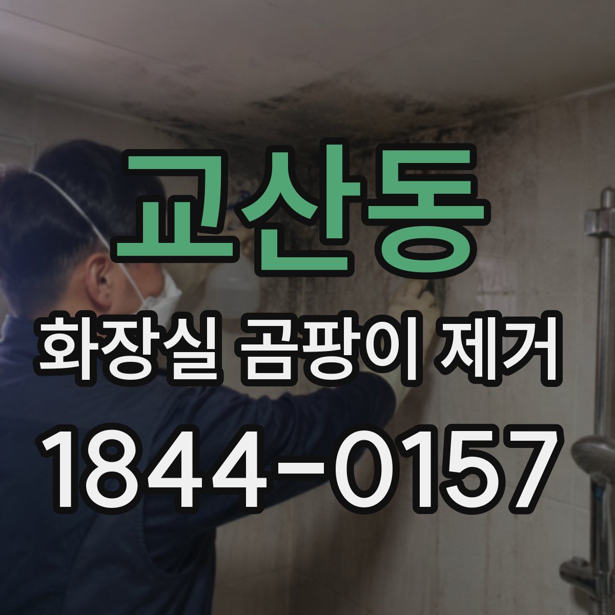 교산동 화장실 곰팡이 제거