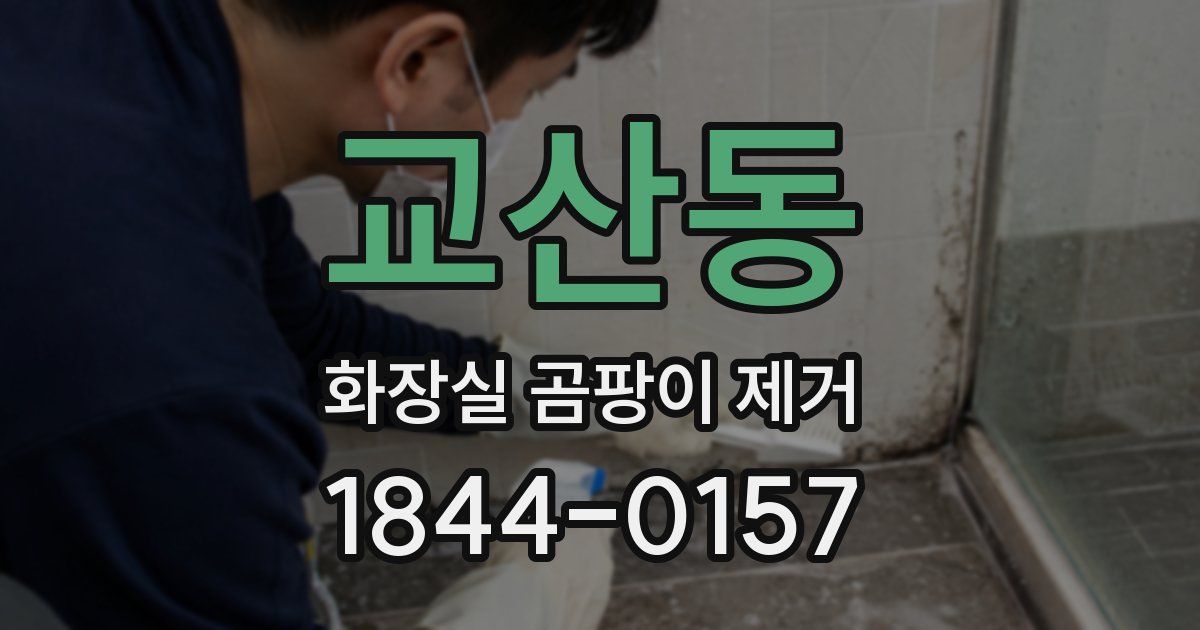 교산동 화장실 곰팡이 제거