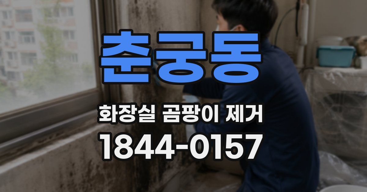 춘궁동 화장실 곰팡이 제거