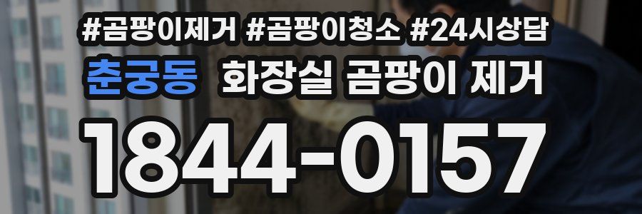 춘궁동 화장실 곰팡이 제거