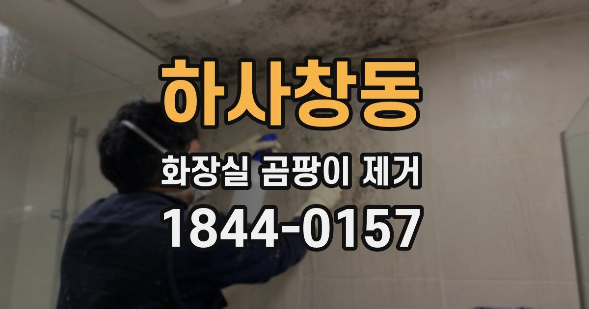 하사창동 화장실 곰팡이 제거