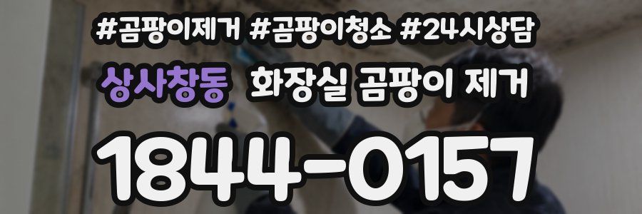 상사창동 화장실 곰팡이 제거