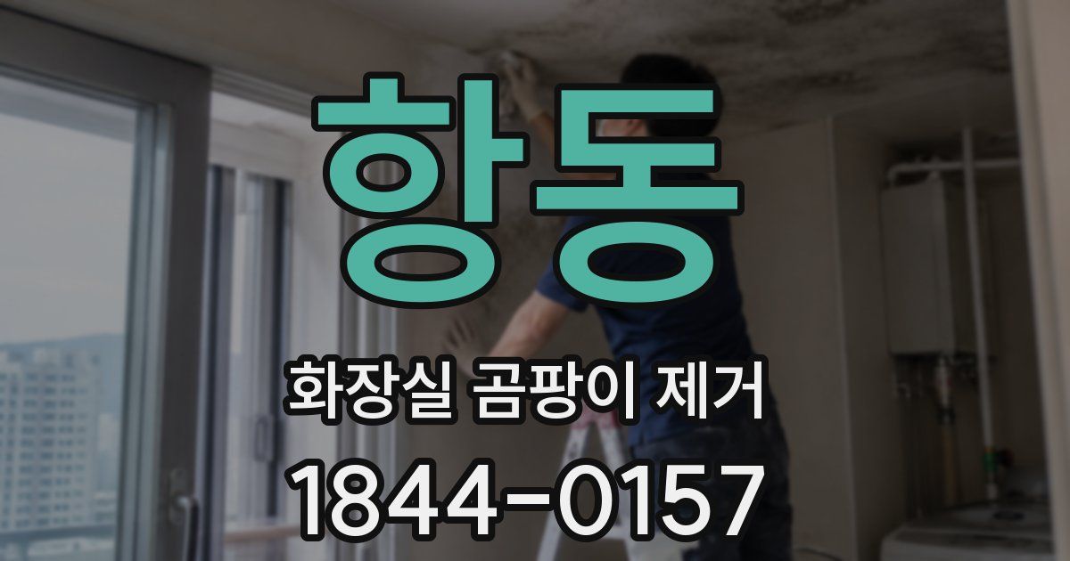 항동 화장실 곰팡이 제거