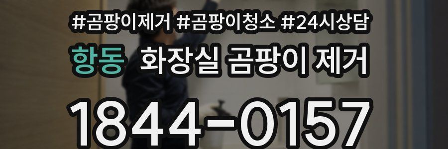 항동 화장실 곰팡이 제거