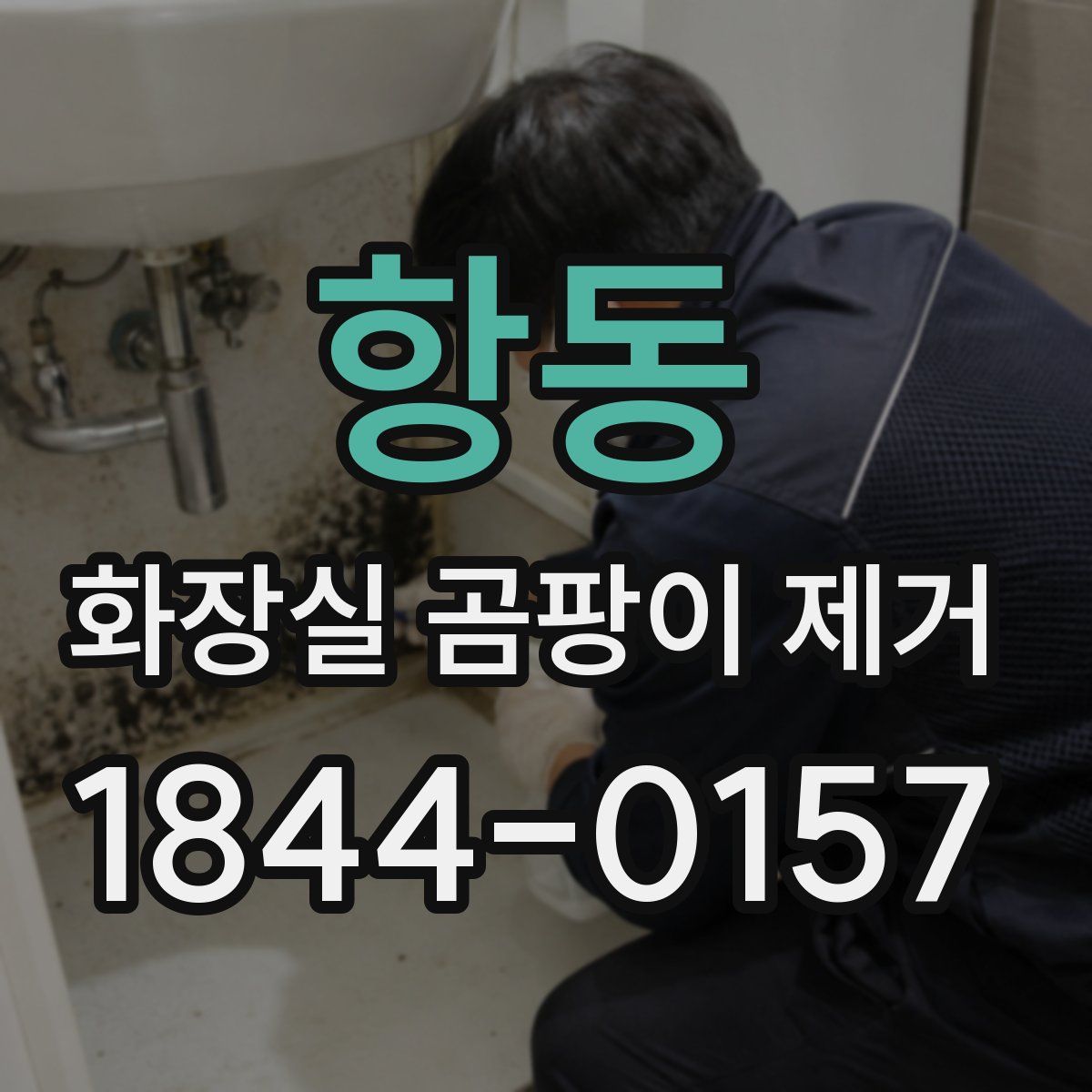 항동 화장실 곰팡이 제거