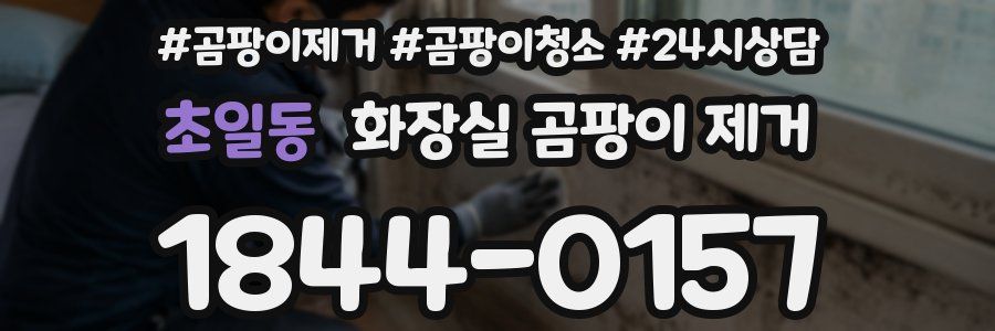 초일동 화장실 곰팡이 제거