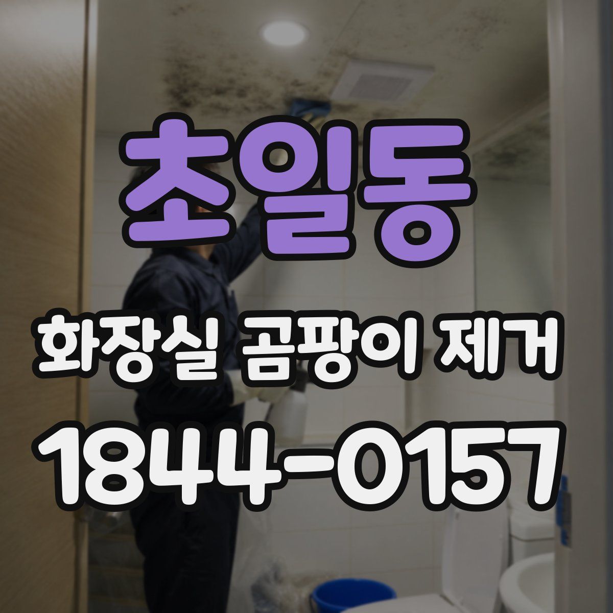 초일동 화장실 곰팡이 제거