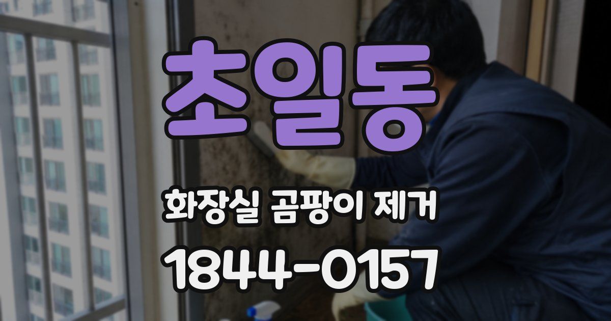 초일동 화장실 곰팡이 제거