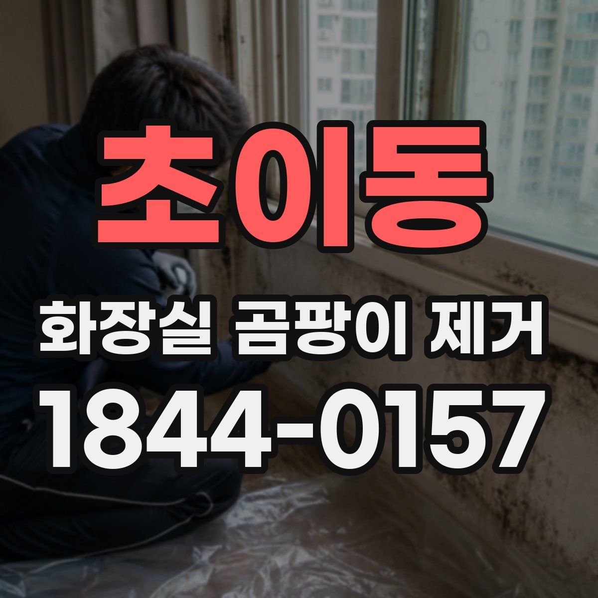 초이동 화장실 곰팡이 제거