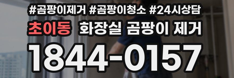 초이동 화장실 곰팡이 제거