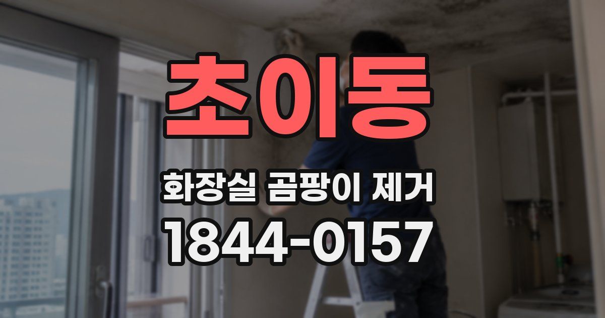초이동 화장실 곰팡이 제거
